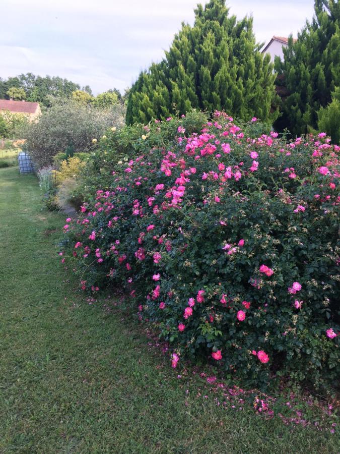 Chambre D'Hotes Le Clos De Rapevache Esterno foto
